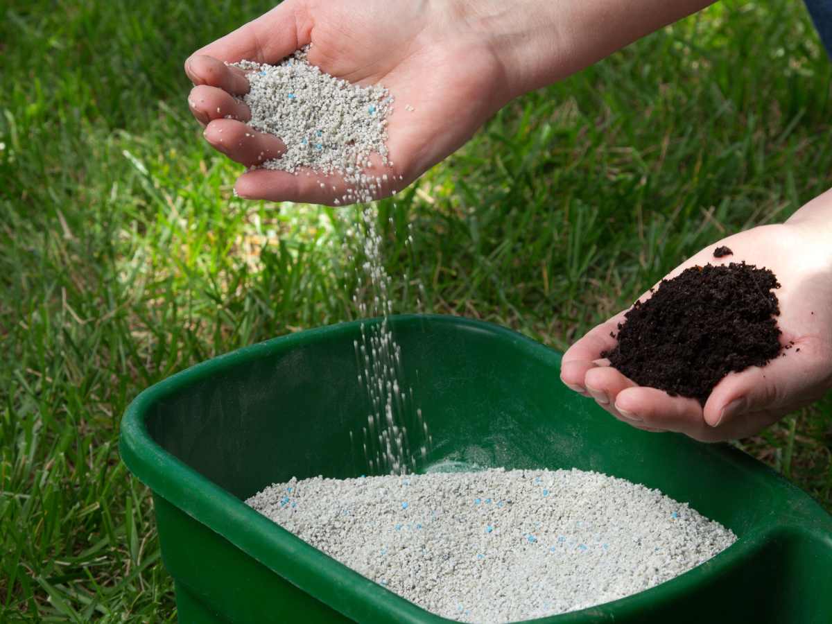 Seeds and fertilizers