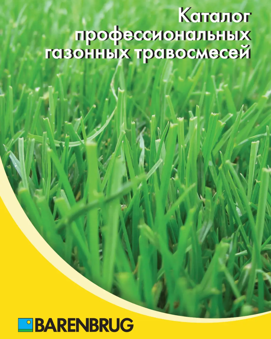 Travosmesi Barenbrug Catalog