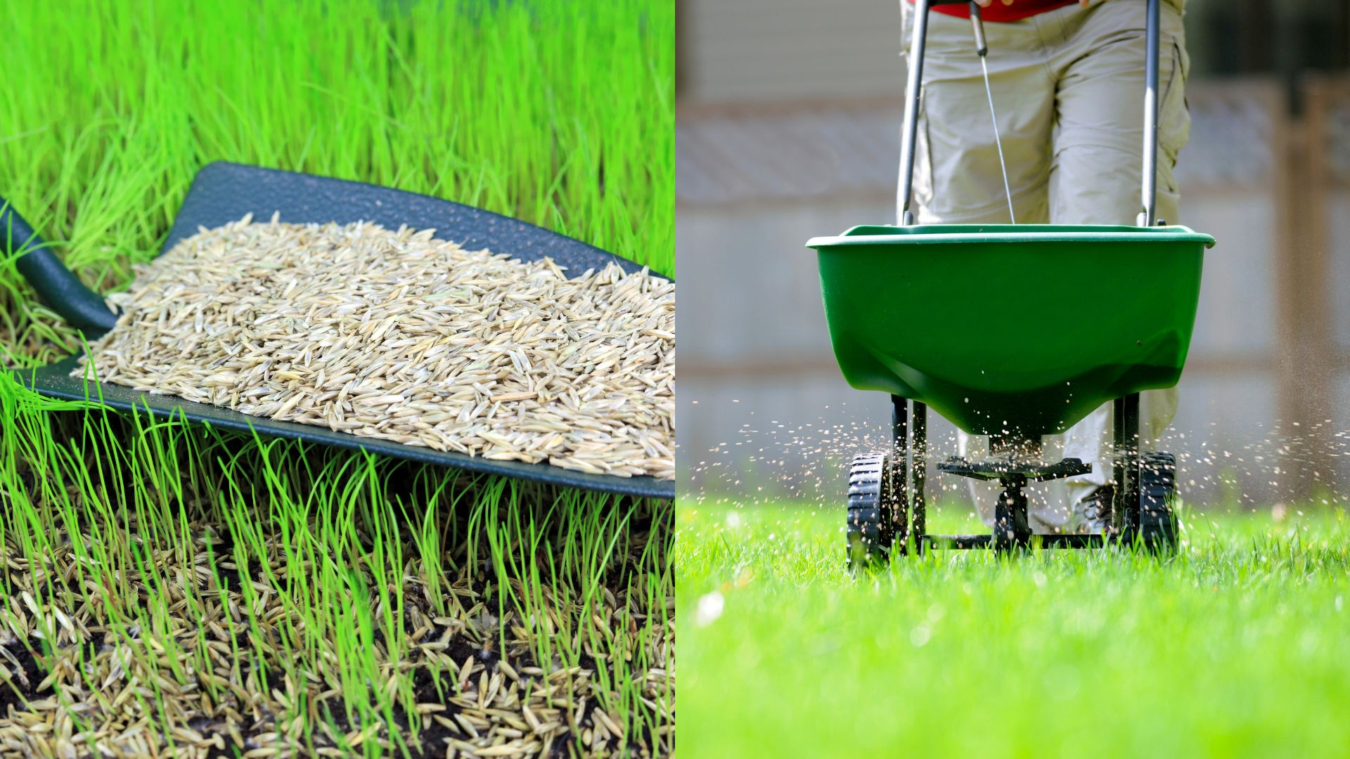 Seed and Fertilizers